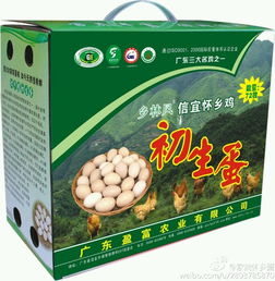 彭州特產 | 信宜懷鄉雞初生蛋三大玄學 大小、花紋、顏色皆不同只因這個